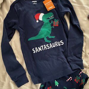 Gymboree NWOT Dinosaur PJ